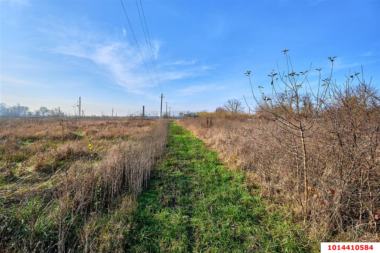 Фото №11: Земельный участок под ИЖС - Мингрельская, ул. Добролюбова, 12