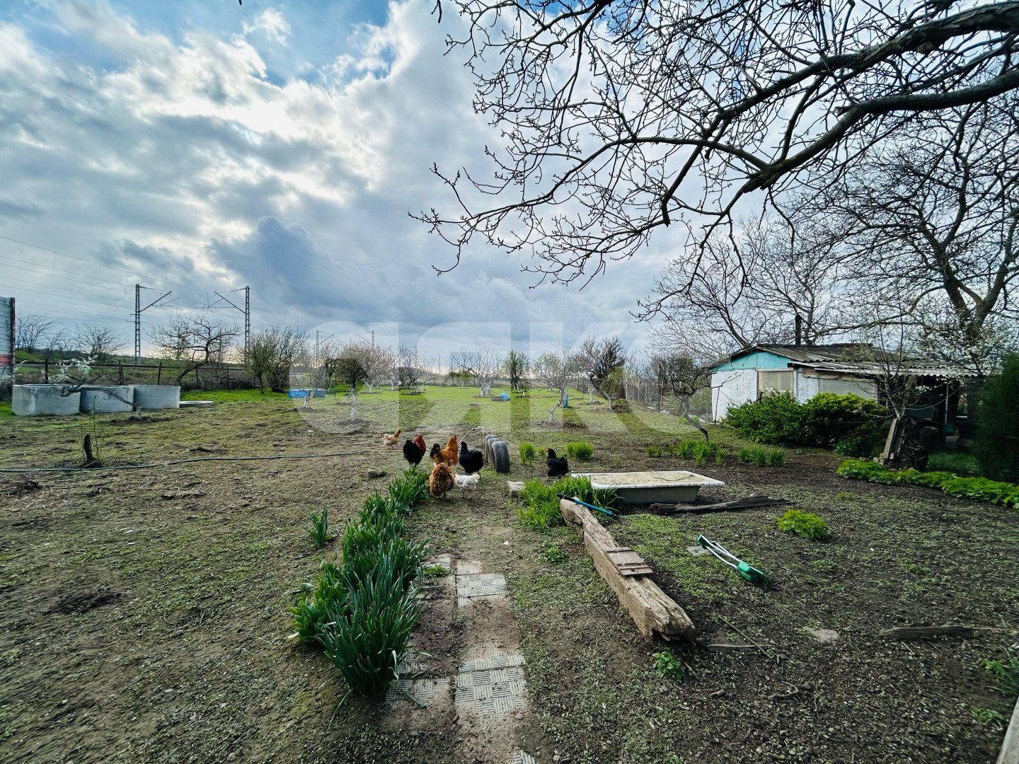Фото №20: Дом 48 м² + 19 сот. - Стрелка, ул. Пушкина, 2