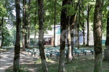 Фото №3: Участок садоводство - Папоротный, ул. Лесная