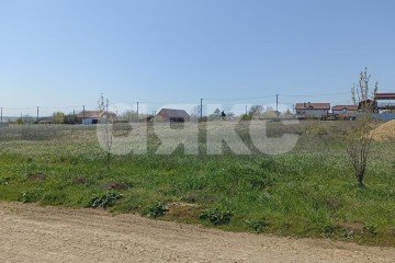 Фото №4: Личное подсобное хозяйство - За Родину, ул. Центральная