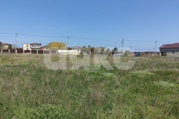 Фото №2: Личное подсобное хозяйство - За Родину, ул. Центральная