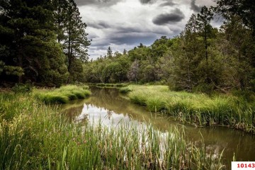 Фото №3: Земельный участок под ИЖС 6 сот. - Калужская, ул. Солнечная, 4