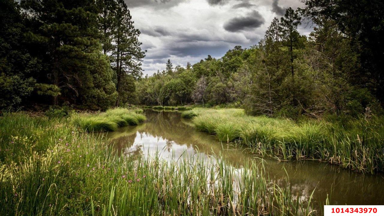 Фото №3: Земельный участок под ИЖС 6 сот. - Калужская, ул. Солнечная, 4