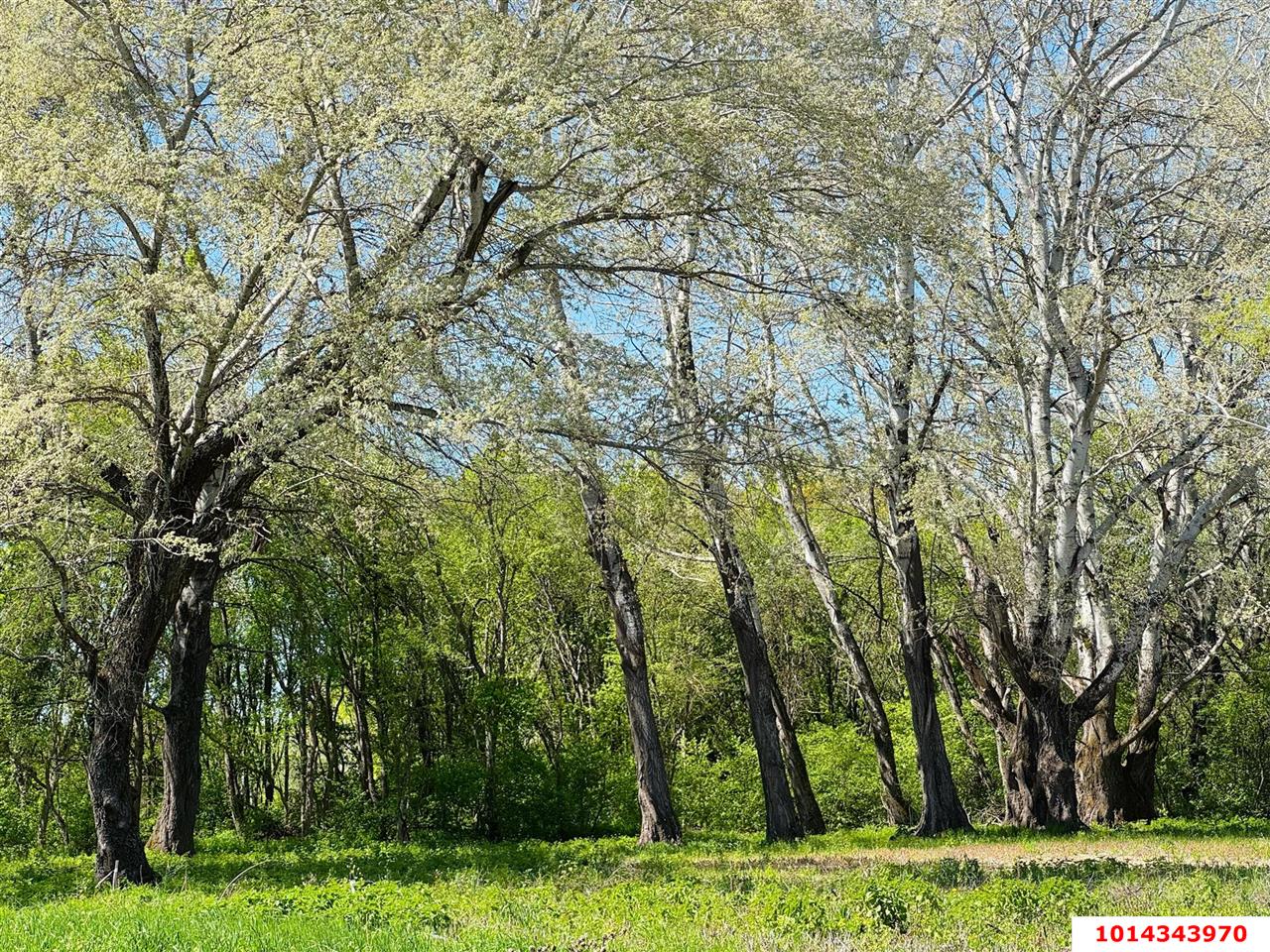 Фото №5: Земельный участок 6 сот. - Калужская, ул. Солнечная, 4