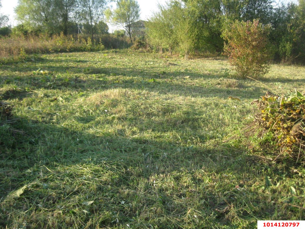 Фото №1: Участок садоводство 5 сот. - СНТ Урожайное, Прикубанский внутригородской округ, ул. Облепиховая, 2