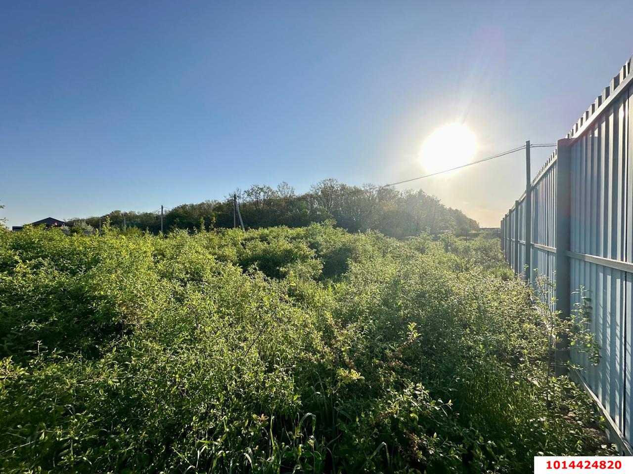 Фото №7: Земельный участок под ИЖС 5 сот. - Барнхутор