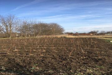 Фото №1: Земельный участок 15 сот. - Львовское, ул. Школьная, 41