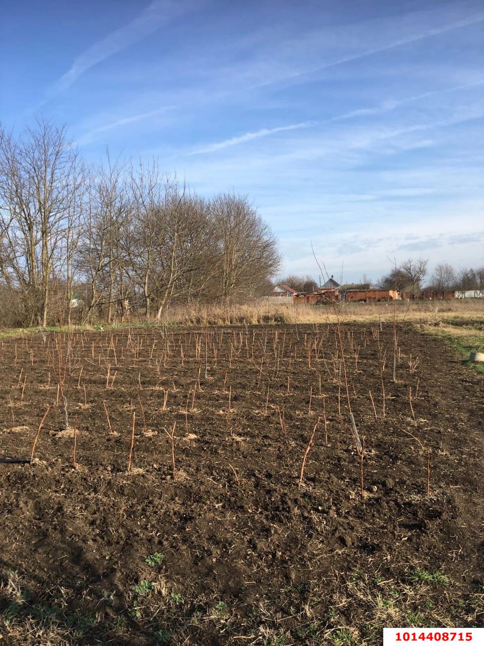 Фото №1: Земельный участок 15 сот. - Львовское, ул. Школьная, 41