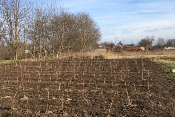 Фото №1: Земельный участок под ИЖС 15 сот. - Львовское, ул. Школьная, 41