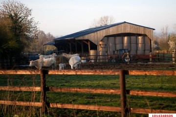 Фото №3: Складское помещение 330 м² - Красноармейский, 