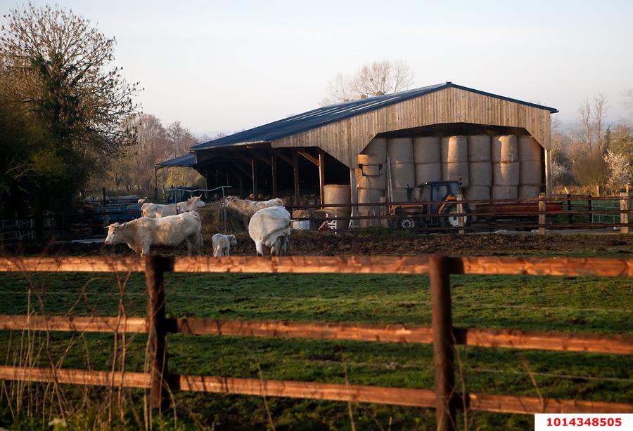 Фото №3: Складское помещение 330 м² - Красноармейский
