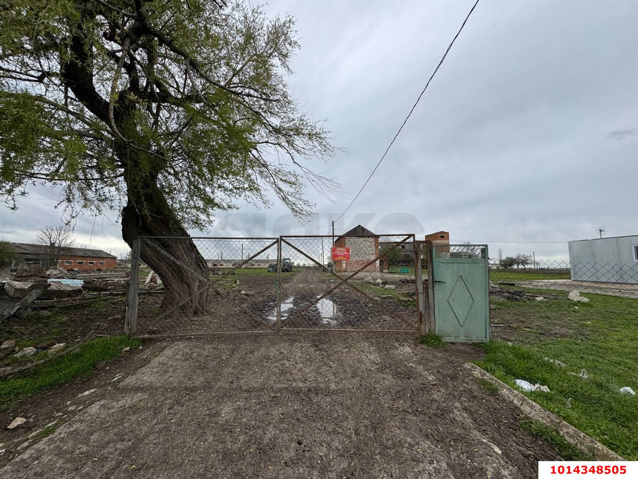 Фото №2: Складское помещение 330 м² - Красноармейский, 