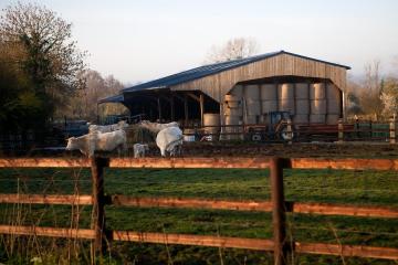 Фото №3: Коммерция 329 м² - Красноармейский, 