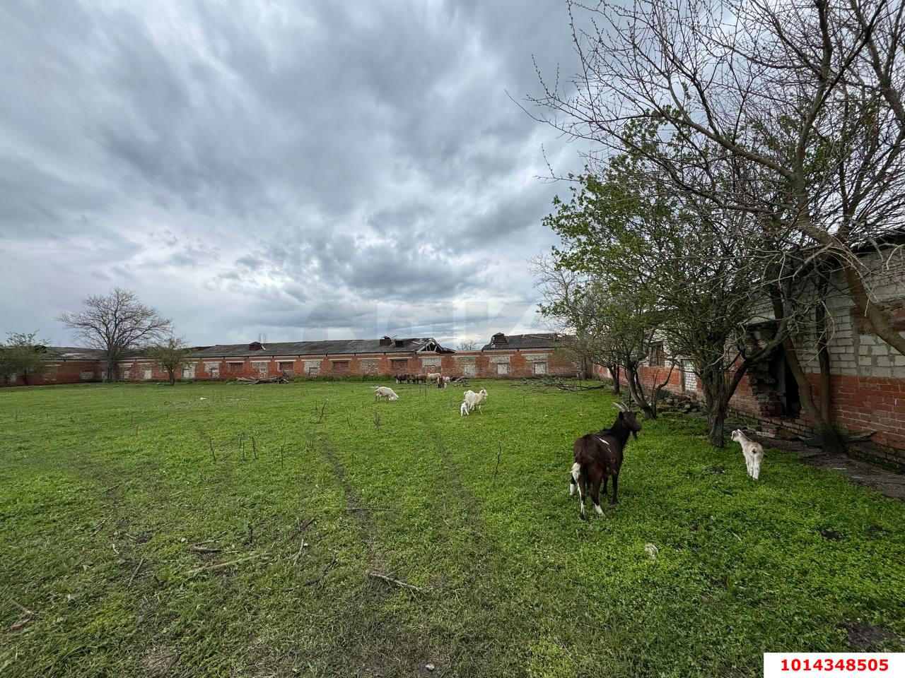 Фото №4: Коммерция 329 м² - Красноармейский