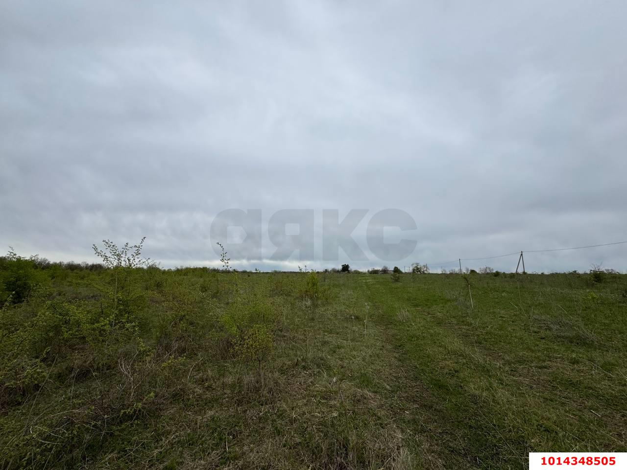 Фото №9: Коммерция 329 м² - Красноармейский