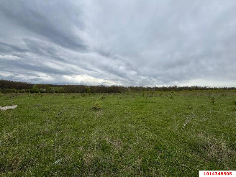 Фото №15: Коммерция 329 м² - Красноармейский