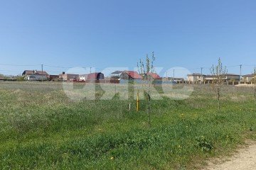 Фото №5: Личное подсобное хозяйство - За Родину, ул. Центральная
