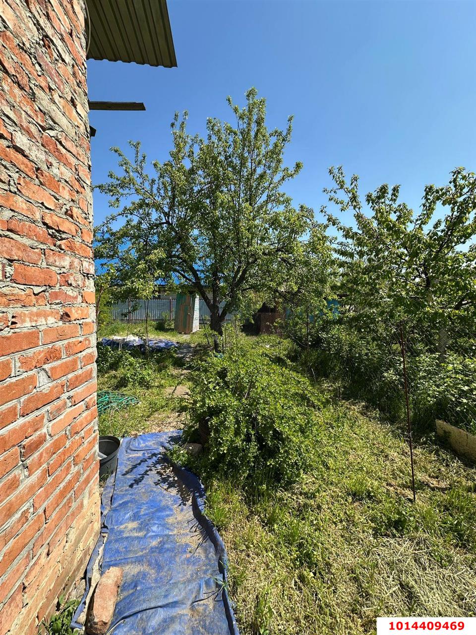 Фото №4: Дом 84 м² + 4.71 сот. - Знаменский, Автомобилист-2, ул. Абрикосовая, 361