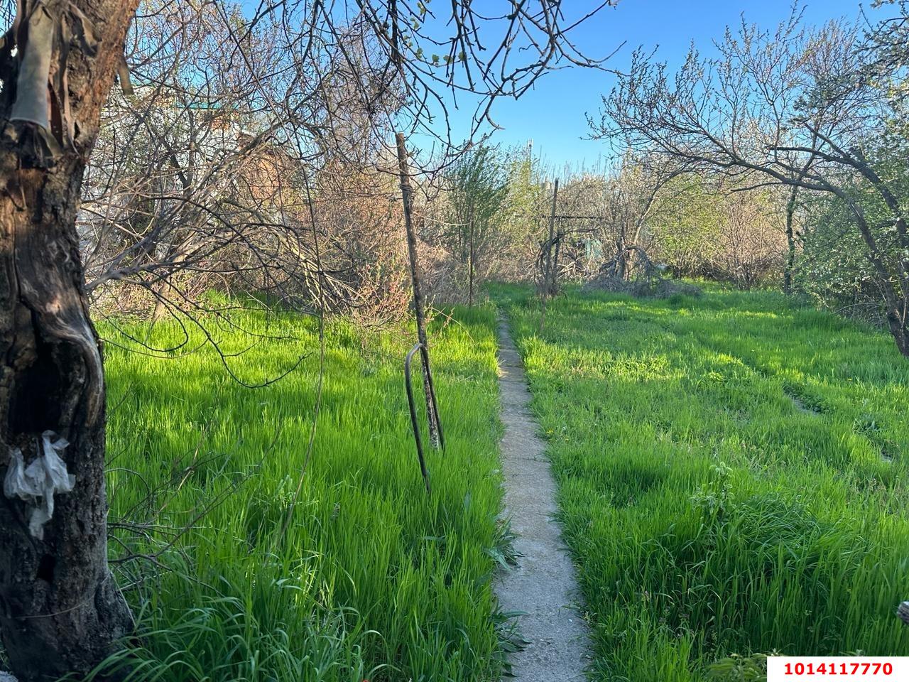 Фото №5: Земельный участок под ИЖС 9 сот. - Родниковская, ул. Советская, 77