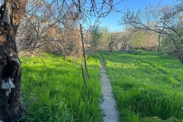 Фото №5: Земельный участок 9 сот. - Родниковская, ул. Советская, 77