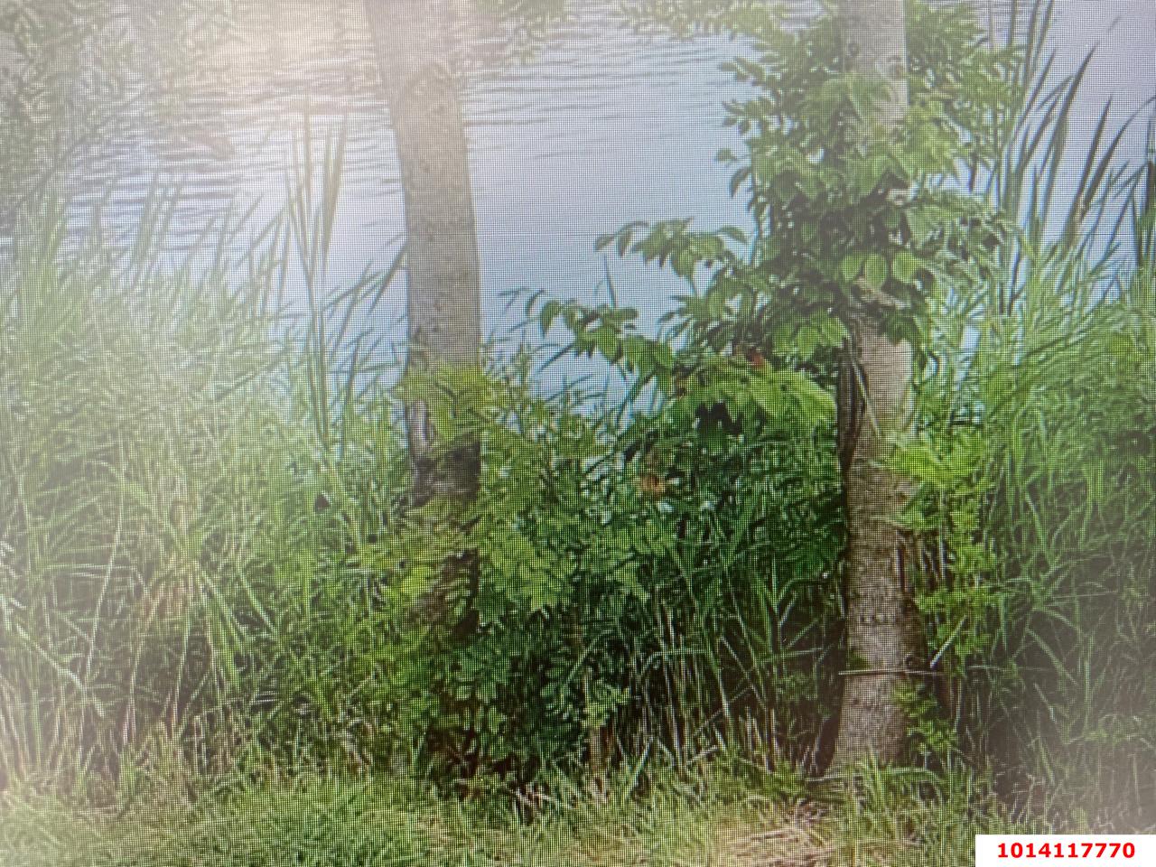 Фото №8: Земельный участок под ИЖС - Родниковская, ул. Советская, 77