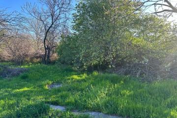 Фото №4: Земельный участок 9 сот. - Родниковская, ул. Советская, 77