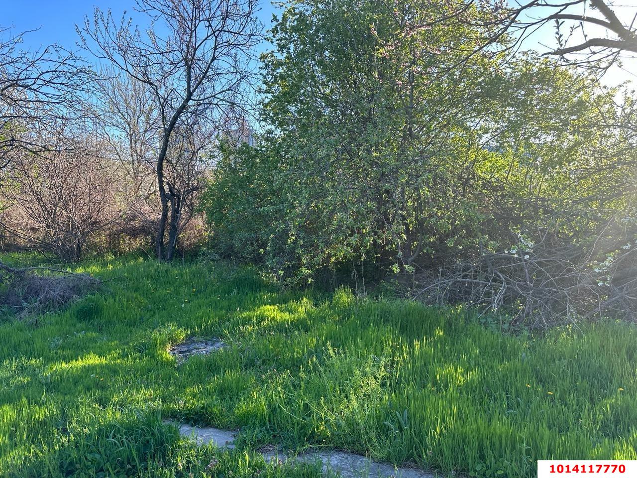 Фото №4: Земельный участок под ИЖС - Родниковская, ул. Советская, 77