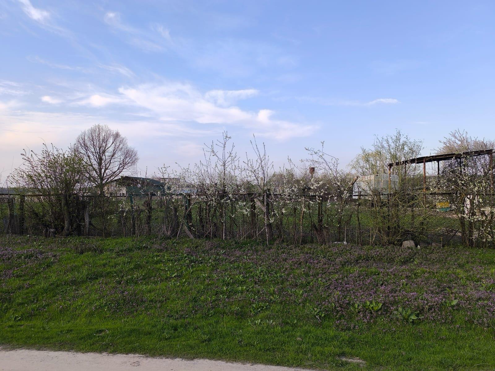 Фото №6: Коммерция 27 м² - Суздальская, ул. Богацкого