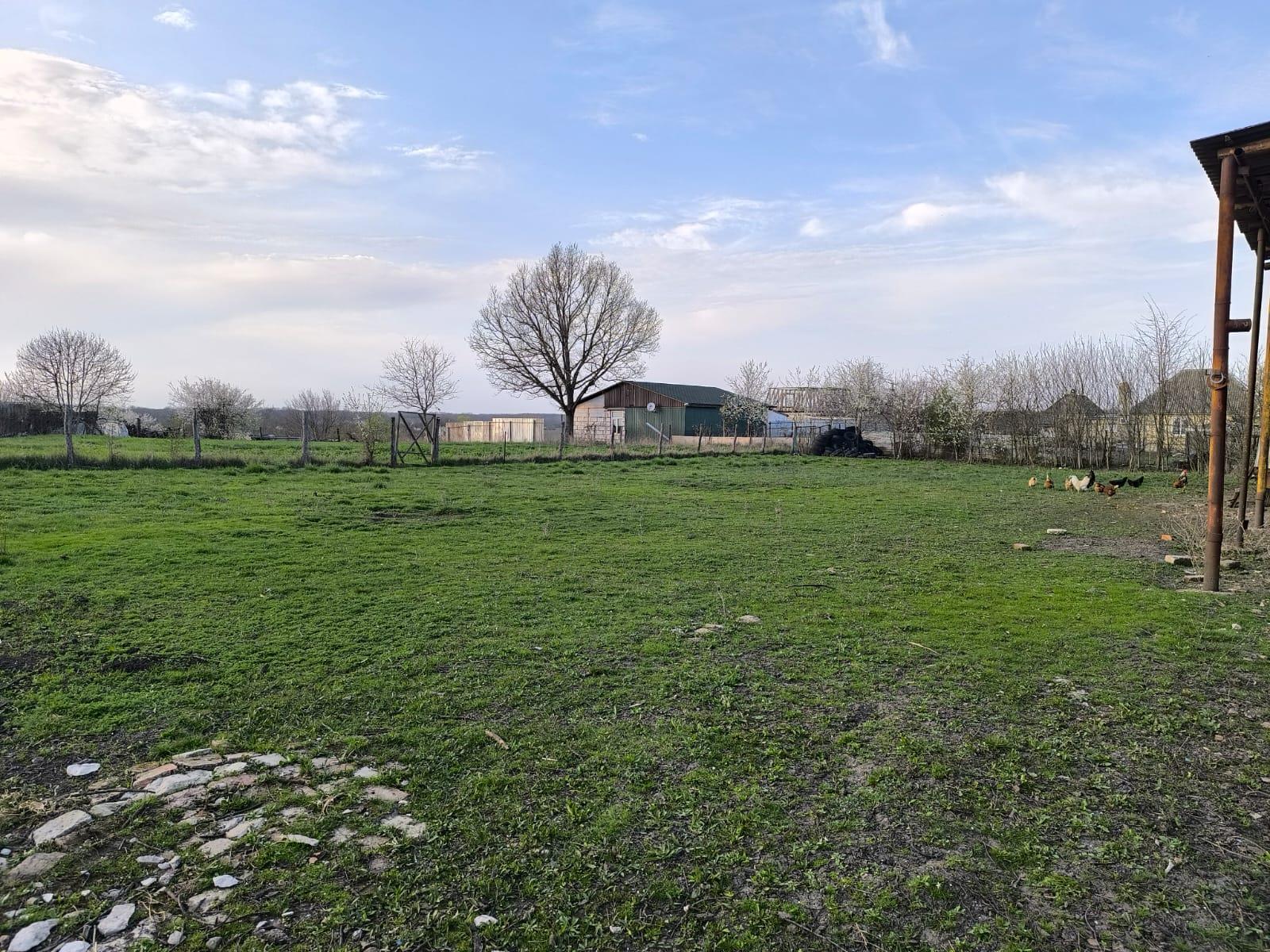 Фото №5: Коммерция 27 м² - Суздальская, ул. Богацкого