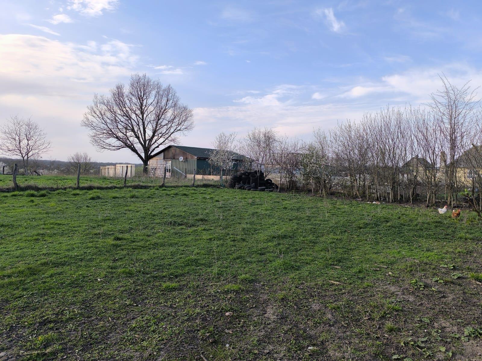 Фото №2: Коммерция 27 м² - Суздальская, ул. Богацкого