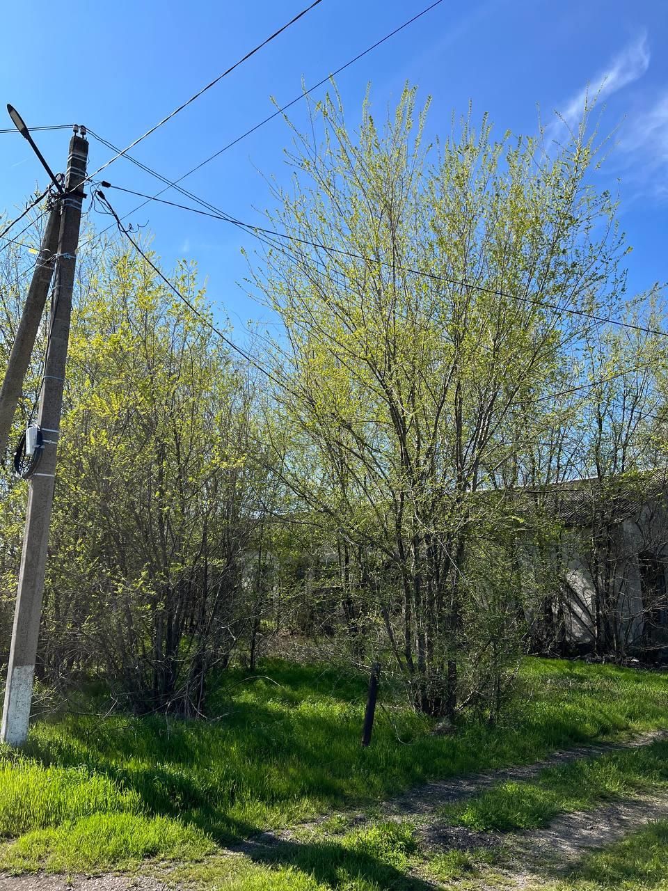 Фото №12: Коммерция 94 м² - Крыловская, пер. Восточный, 5