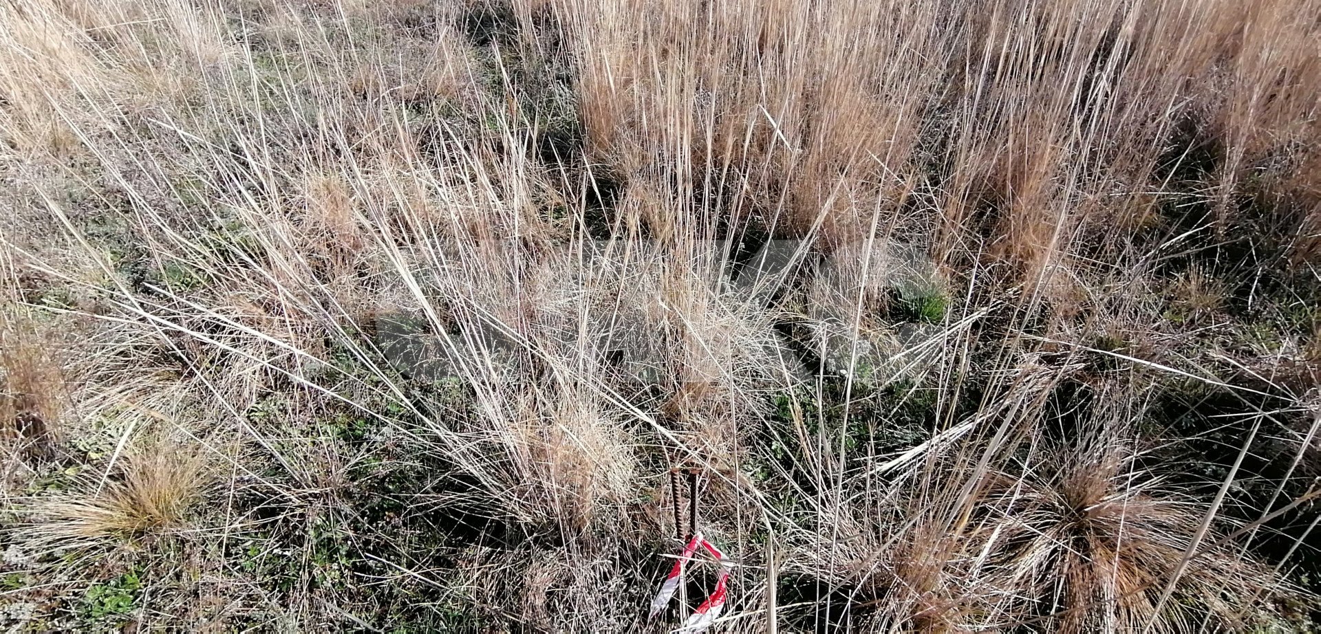 Фото №10: Личное подсобное хозяйство 7 сот. - Волгоградская область Городищенский район