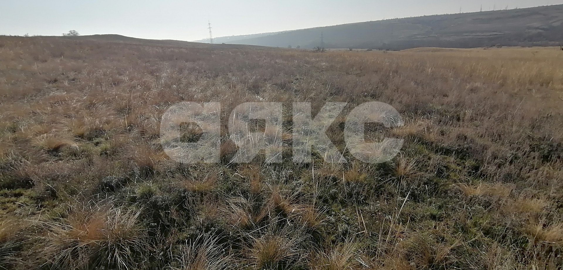 Фото №7: Личное подсобное хозяйство 7 сот. - Волгоградская область Городищенский район