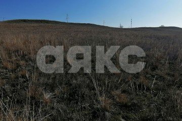 Фото №4: Личное подсобное хозяйство - Волгоградская область Городищенский район
