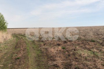 Фото №5: Коммерческая земля - Ретинка, 