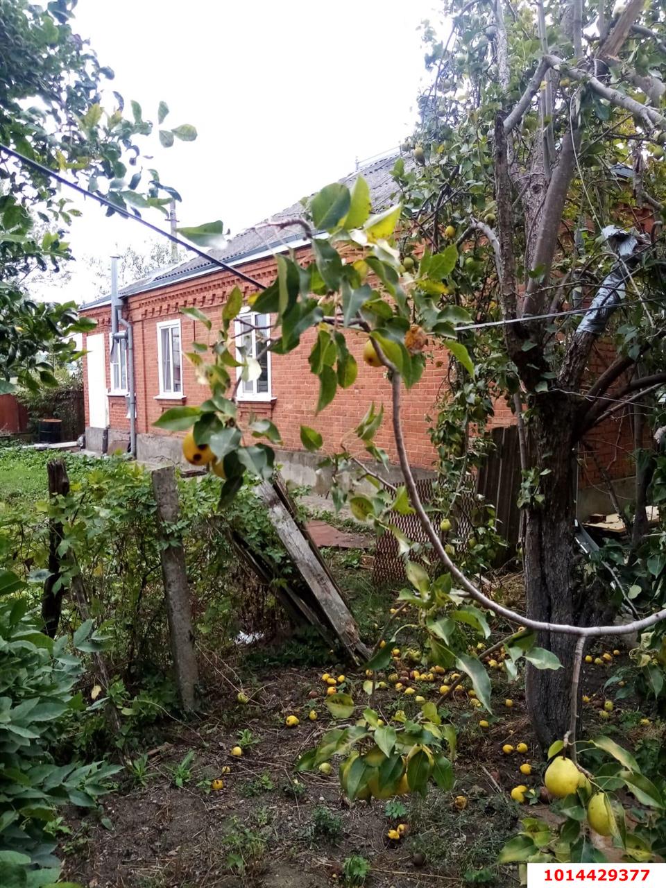 Фото №1: Дом 69 м² + 34 сот. - Афипсип, ул. К.Х. Жане