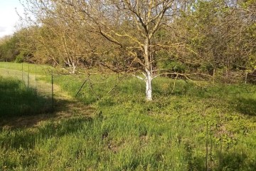 Фото №4: Дом 69 м² - Афипсип, ул. К.Х. Жане