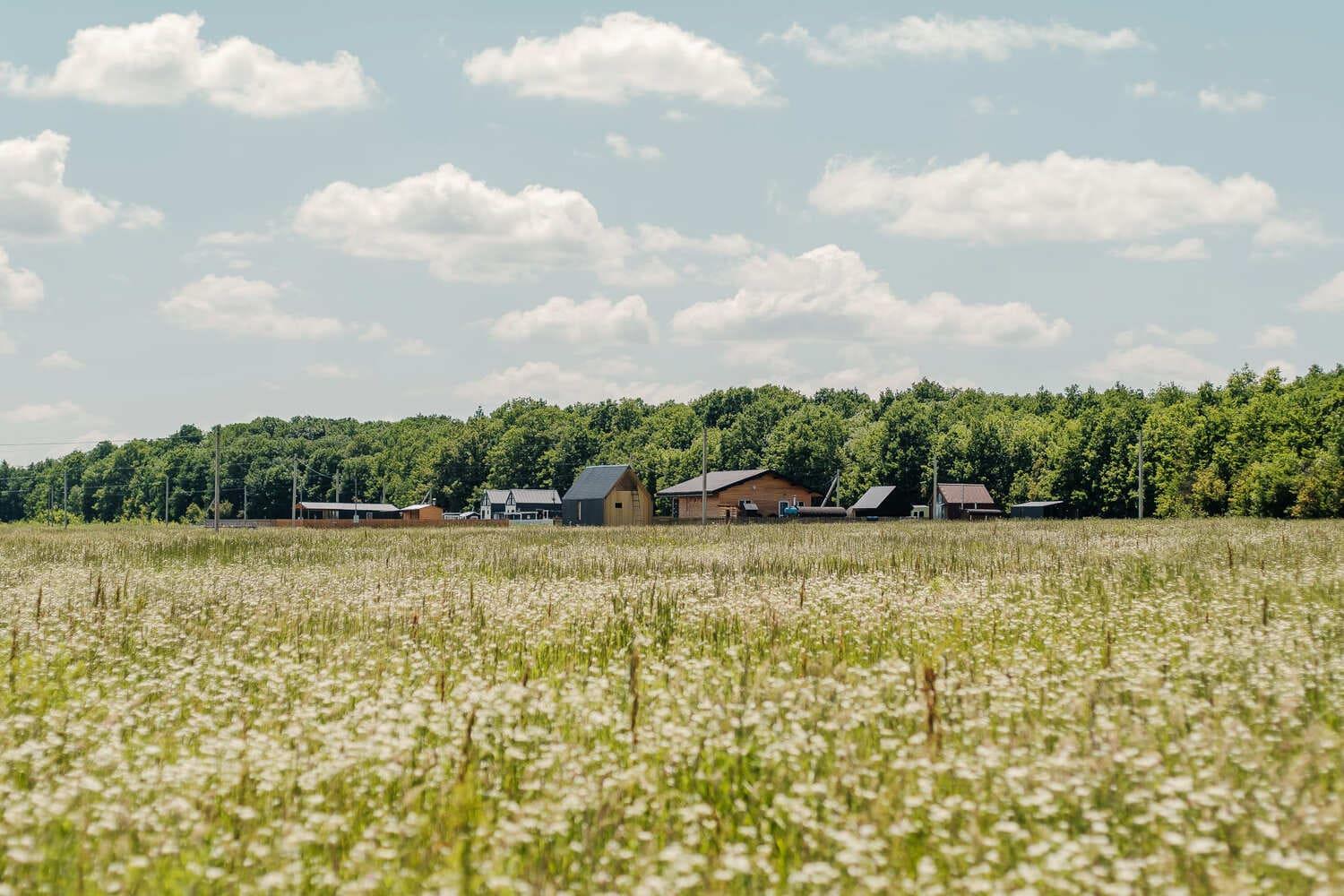 Фото №7: Земельный участок 6 сот. - Акредасов