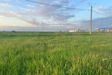 Фото №5: Земельный участок под ИЖС 6.51 сот. - Ленина, мкр. КП Приморский, ул. Пластунская, 213