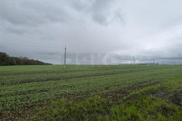 Фото №4: Коммерческая земля 150 сот. - Краснодарский край Красноармейский район