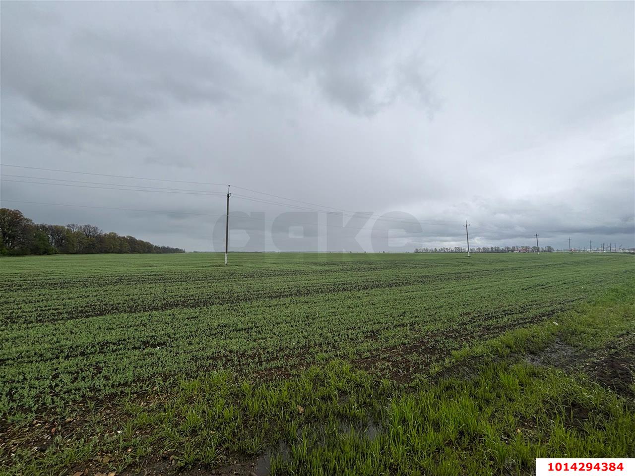 Фото №4: Коммерция 150 м² - Краснодарский край Красноармейский район