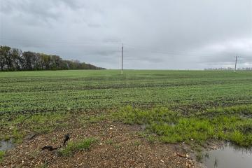 Фото №3: Коммерческая земля 150 сот. - Краснодарский край Красноармейский район