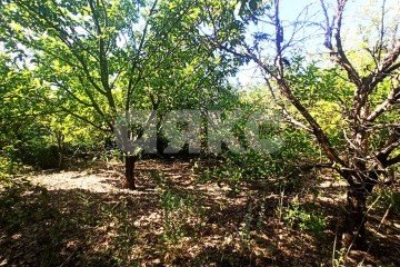 Фото №3: Земельный участок под ИЖС - Волгоград, мкр. Солнечный, аллея улица Центральная