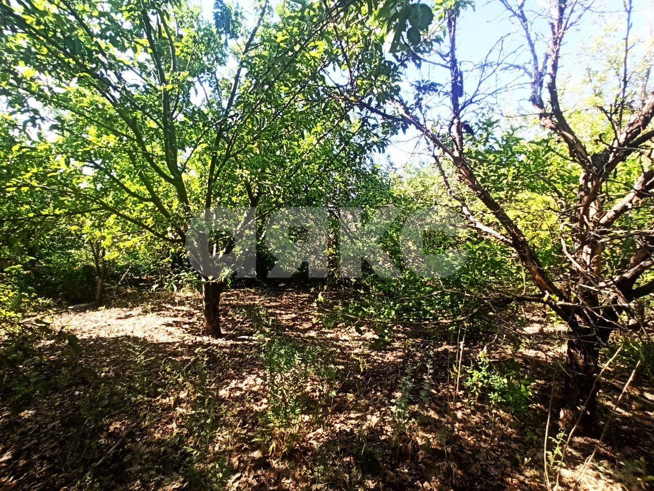 Фото №3: Земельный участок под ИЖС 5 сот. - Волгоград, Солнечный, аллея улица Центральная