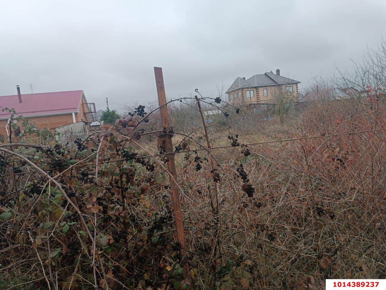 Фото №2: Участок садоводство 6 сот. - Кубанская Нива-2, Прикубанский внутригородской округ, ул. Виноградная, 531А