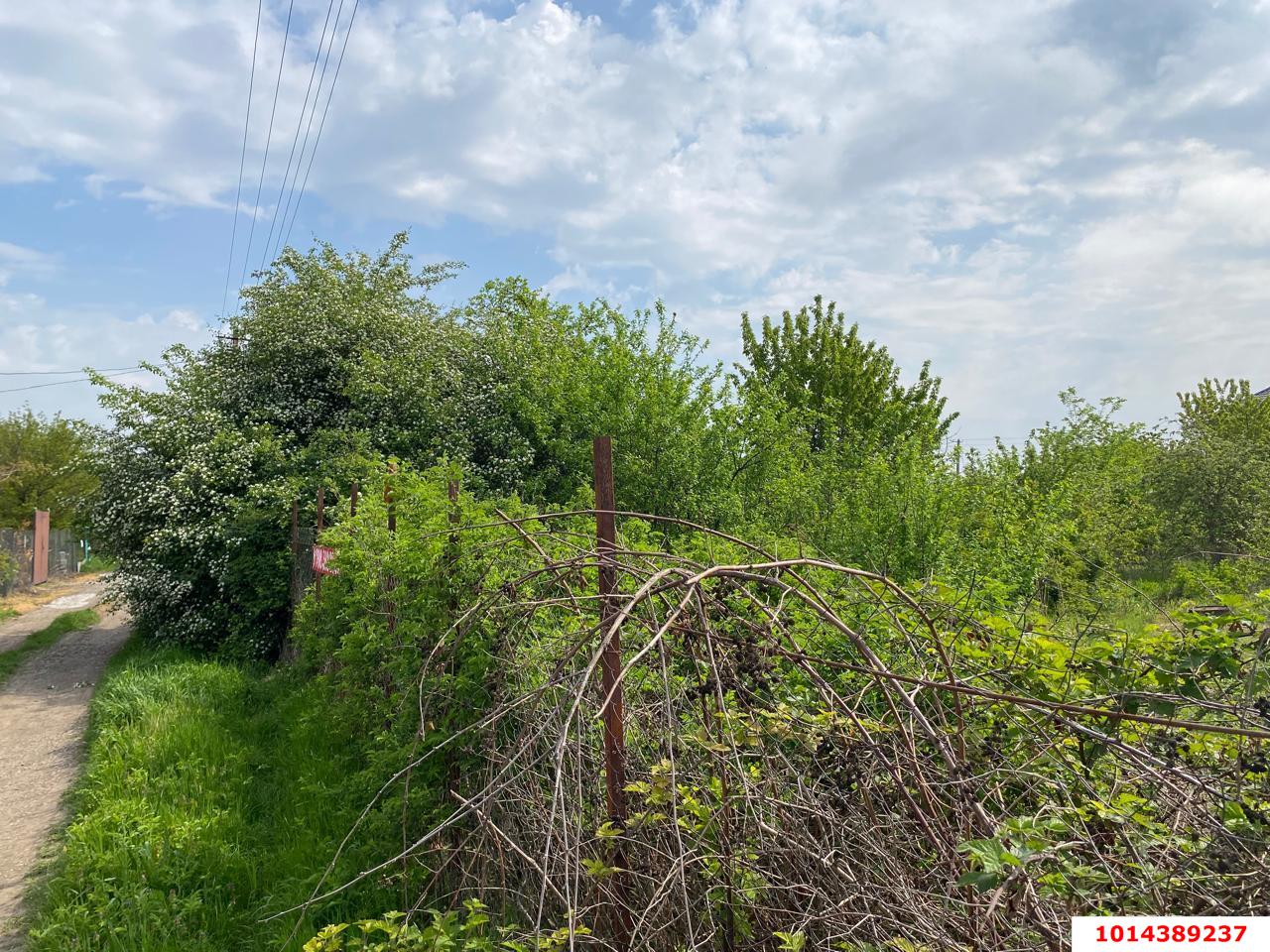 Фото №2: Участок садоводство 6 сот. - Кубанская Нива-2, Прикубанский внутригородской округ, ул. Виноградная, 531А