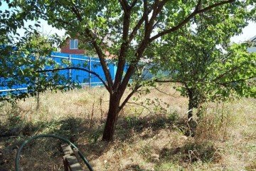 Фото №3: Участок садоводство 6 сот. - Южный, ст Ивушка, ул. Грушевая, 7