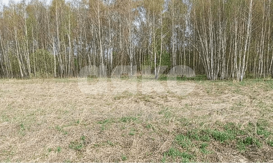 Фото №10: Дом 80 м² + 6 сот. - Великие Озёра, 