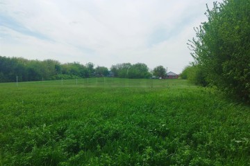 Фото №2: Дом 164 м² - Доброе, ул. Лесная, 11