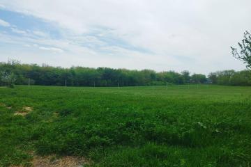 Фото №3: Дом 150 м² - СТ Дружба, ул. Арбузная, 37